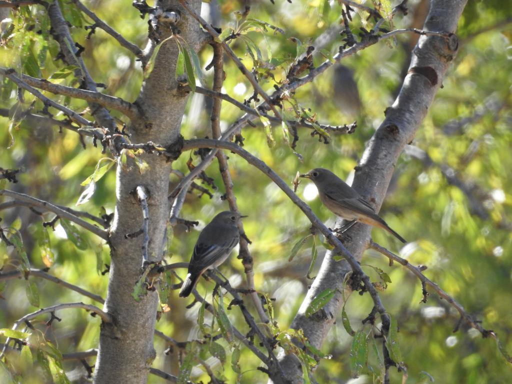 Finca El Romeral Альпера Экстерьер фото